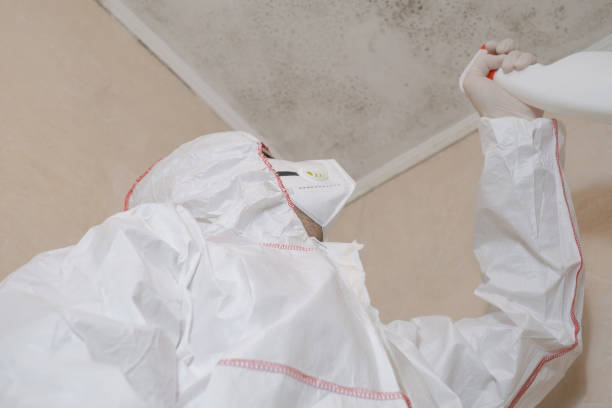 Mold Removal and Inspection in Chesterton, IN